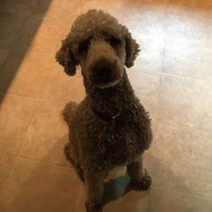 Meet your Posher, Melanie